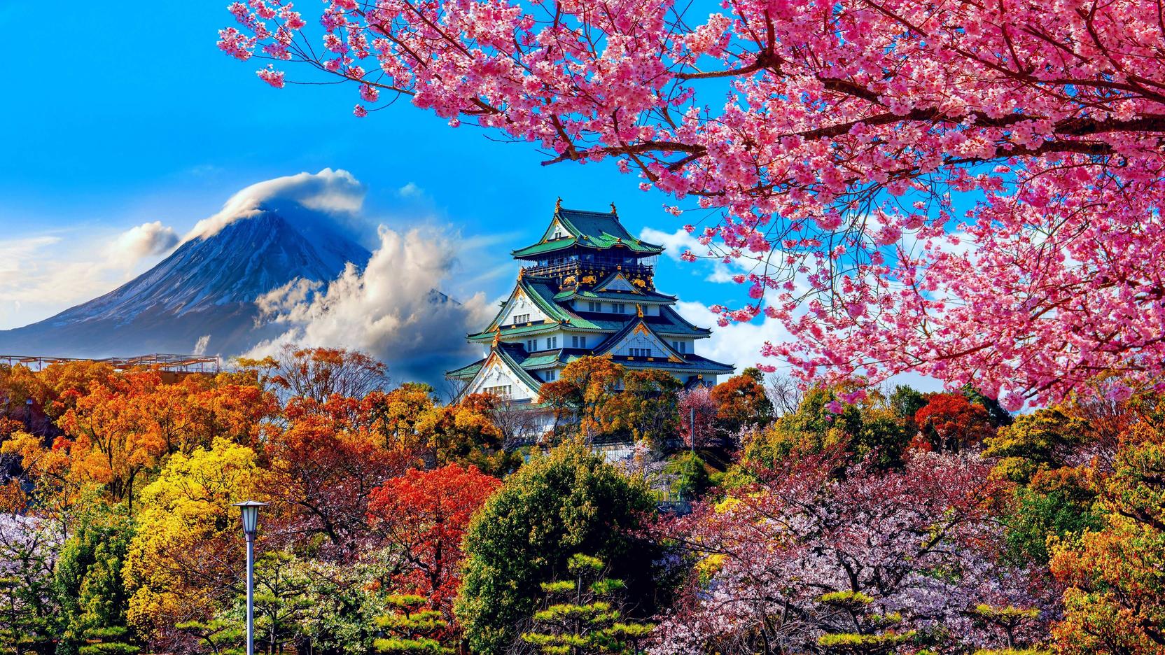 KHÁM PHÁ NHẬT BẢN 2025: TOKYO – PHÚ SỸ – YAMANASHI